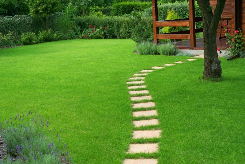 Bezpieczny trawnik, czyli jak nie dać złapać się w chemiczną pułapkę