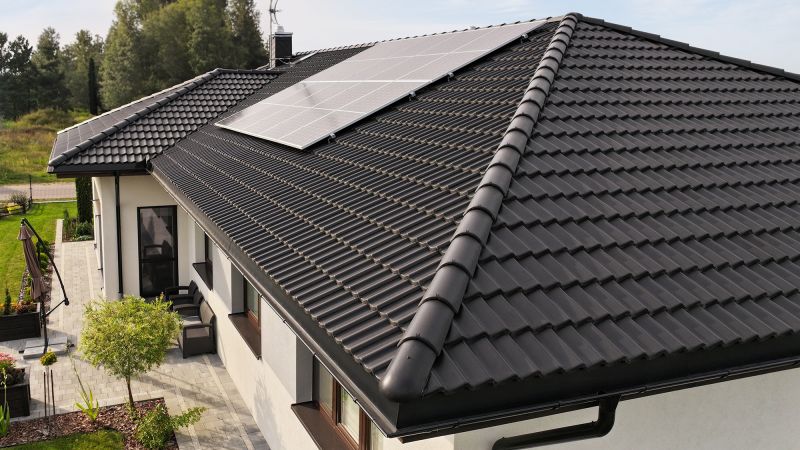 Holenderka płaska czy esówka – poznaj różnice