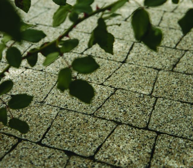 Pielęgnacja i konserwacja kostki brukowej po zimie