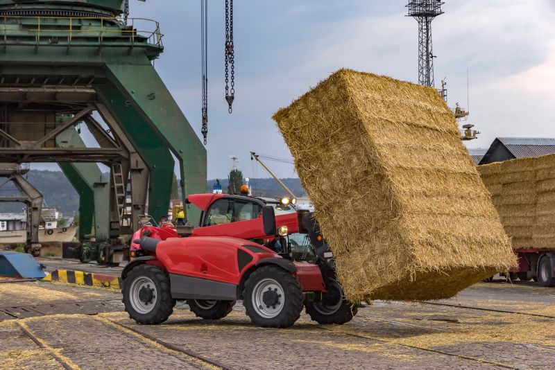 Wypożyczalnia ładowarek teleskopowych — wybierz mądrze i zyskaj więcej!